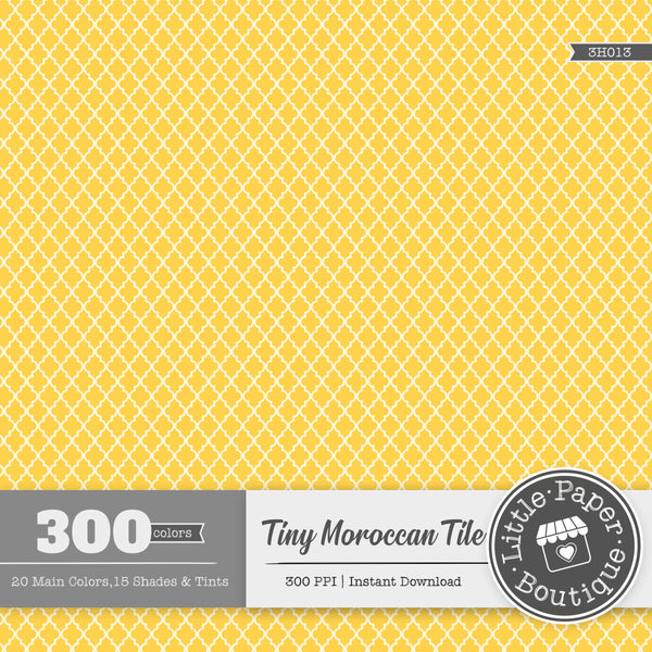 Rainbow Tiny Moroccan Digital Paper 3H013