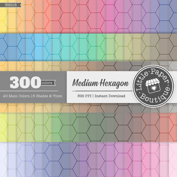 Rainbow Medium Hexagon Outline Digital Paper 3H016