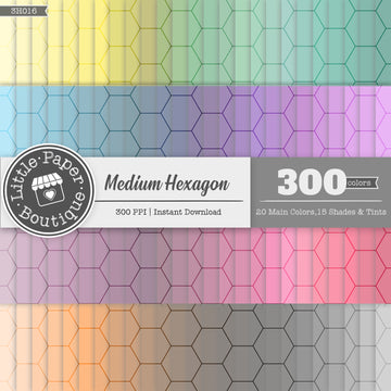 Rainbow Medium Hexagon Outline Digital Paper 3H016