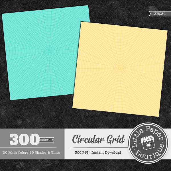 Rainbow Circular Grid Outline Overlay Digital Paper 3H084