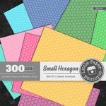 Rainbow Small Hexagon Outline Digital Paper 3H148