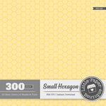 Rainbow Small Hexagon Outline Digital Paper 3H148