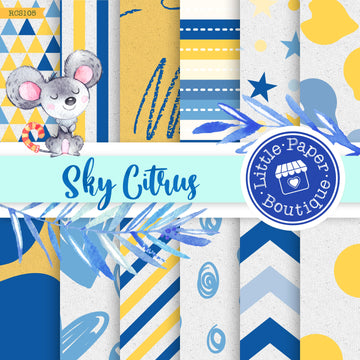 Sky Citrus Digital Paper RCS105B